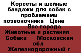 Корсеты и шейные бандажи для собак с проблемами позвоночника › Цена ­ 2 500 - Все города Животные и растения » Собаки   . Московская обл.,Железнодорожный г.